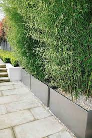 Gartenanlagen Ideen Sichtschutz Recybuche Garten Ideen Privacy Fence Landscaping Fence Landscaping Backyard Garden Layout