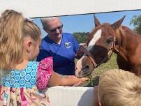 Sunshine Horses Mandatory New