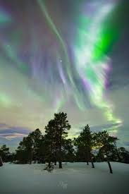 Aurora Borealis Holiday On Senja Norway Aurora Borealis Observatory In 2020 Aurora Borealis Iceland Waterfalls Milky Way Pictures