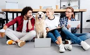 Find affordable care for your pets today. Pets Impact How We Shape Communities
