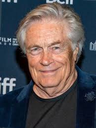 Northern Lights of Christmas