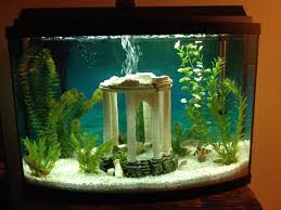 My New Greek Themed Fish Tank Fish Tank Decorations Fish Tank Themes Fish Tank