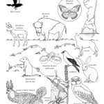 Click the download button to view the full image of grassland coloring pages. Habitats Biomes Coloring Nature