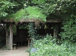 Haufige Fragen Finkens Garten
