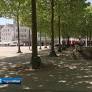 Germany Faces Deadly Heatwave with Record Temperatures and Severe Drought Impacts