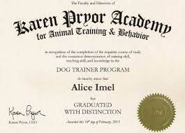 This is how most trainers learn the profession. How To Become A Dog Trainer Career Salary Training 2021 Updated