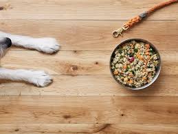 We did not find results for: Pin On Dogs