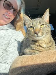 Found friendly cat in Newton, Iowa