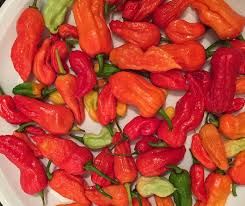 The Bhutjolokia Is Not The Hottest Chilli In The World Swipe Up To Find Out What S Hotter Than A Ghost Pepper Article Stuffed Peppers Food Articles Hot Chili