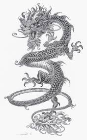 Pin By Adrian Torres On Tattoo Dragon Illustration Dragon Tattoo Chinese Dragon