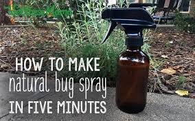 Just spray it throughout the yard and it will last about two and a half months. Homemade Bug Spray Recipes That Work Wellness Mama