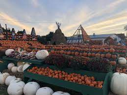 As you start planning your business, connect with a free business resource near. Opening Weekend 2020 The Great Pumpkin Farm