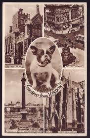French Bulldog Dog Vintage Real Photo Postcard Uk French Bulldog Dog Vintage Dog French Bulldog Funny