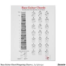 music bass guitar diagrams wiring diagrams