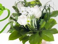 We did not find results for: Wider Scott And Rose Com Fp Articles 20120529 A