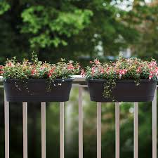 Blumenkasten Corsica Easy Balcony L60cm Blumixx De Blumenkasten Pflanzen Pflanzkasten