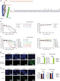 Tumor penetrating peptides inhibiting MYC as a potent targeted therapeutic  strategy for triple-negative breast cancers