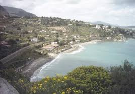 Image result for Milicia