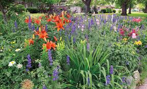 Dig a generous planting hole 8 deep. Add Energy To Your Garden With Orange Plants Garden Gate