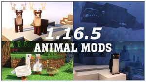 Better animals plus mod animal showcase minecraft 1.12.2 1.14.4 2k 60fps animals in minecraft ep47in this video we showcase the better . Best 1 16 5 Animal Mods Forge Minecraft Cinematic Showcase Youtube