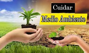 Resultado de imagen para imagenes del ambiente natural