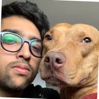 Dan Woods Email & Phone Number