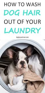 How To Wash Dog Hair Out Of Clothes And Blankets Dog Hair Pet Hair Removal Dog Clothes