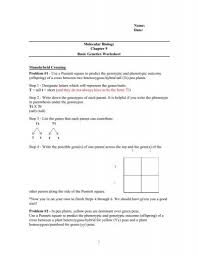 Monohybrid crosses with complete dominance. Ch 9 Punnet Square Worksheet