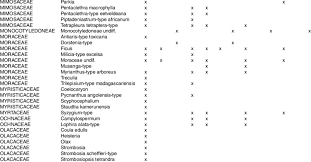 Image result for Strombosiopsis tetrandra