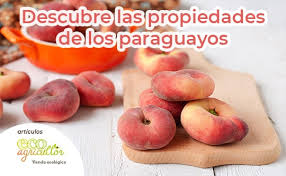 El paraguayo es una variedad del melocotón, procedente de una mutación natural de éste surgida en china. Paraguayo Valor Nutricional Y Propiedades Ecoagricultor