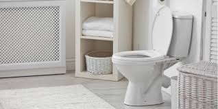 Wait till the water drains to the lowest level, this might take some time as the clogged toilets may drain the water slowly. How To Unclog A Toilet Without A Plunger Mike Diamond