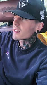 Exploring the Concept of Public Spaceships