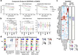 We have hundreds of patterns to choose from. An Atlas Of Healthy And Injured Cell States And Niches In The Human Kidney Biorxiv
