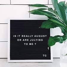 These short funny quotes & images will seriously make you laugh out loud! Pin On Letterboard Quotes