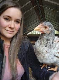 How do mites find their best spot?