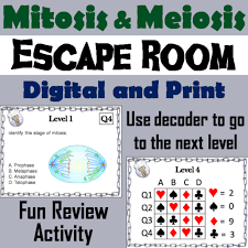 Both of these processes are important in homeostasis as well as human reproduction. Mitosis And Meiosis Science Escape Room Teaching Resources