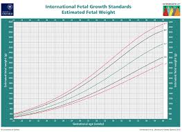 standard population customised fetal size charts 10