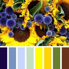 Pin On Color
