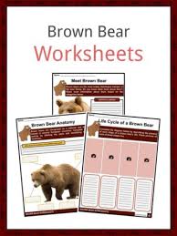 Other crossword clues with similar answers to 'beast of burden'. Camel Facts Worksheets Origin Description Adaptations For Kids