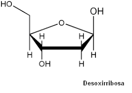 PENTOSA