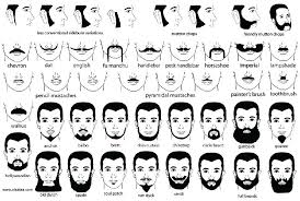 Mustache Beard Styles Moustache Beard No Mustache Beard