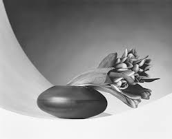 The photograph Robert Mapplethorpe sent to his friends shortly ...