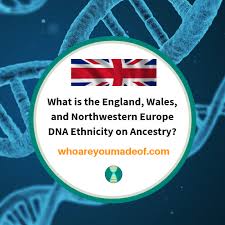 The united kingdom is located in western europe and consists of england, scotland, wales and northern ireland. What Is The England Wales And Northwestern Europe Dna Ethnicity On Ancestry Who Are You Made Of