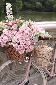 Pin By Michelle Rees On Style Pink Flowers Pink Bike Beautiful Flowers
