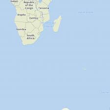 Image result for Stolzia