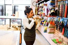 This adorable shop is cozy. Colorado House Will Weigh Whether To Outlaw Dog And Cat Sales In Pet Stores