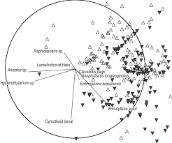 Non Metric Multidimensional Scaling Nmds Chart On The Two