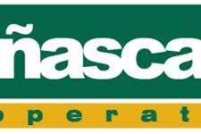 Resultado de imagen de ñasca