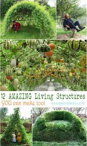 12 Living Garden Decorations Structures To Diy A Piece Of Rainbow Diy Garden Trellis Amazing Gardens Plants