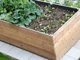 Hochbeet Selber Bauen Schritt Fur Schritt Anleitung In 2020 Hochbeet Hochbeet Selber Bauen Hochbeet Holz